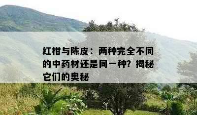 红柑与陈皮：两种完全不同的中材还是同一种？揭秘它们的奥秘