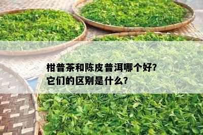 柑普茶和陈皮普洱哪个好？它们的区别是什么？