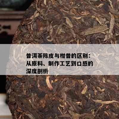 普洱茶陈皮与柑普的区别：从原料、制作工艺到口感的深度剖析