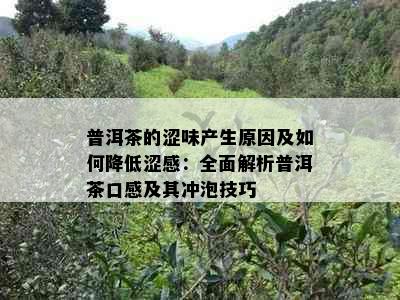 普洱茶的涩味产生原因及如何降低涩感：全面解析普洱茶口感及其冲泡技巧