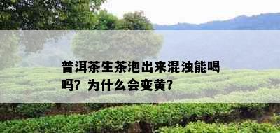 普洱茶生茶泡出来混浊能喝吗？为什么会变黄？