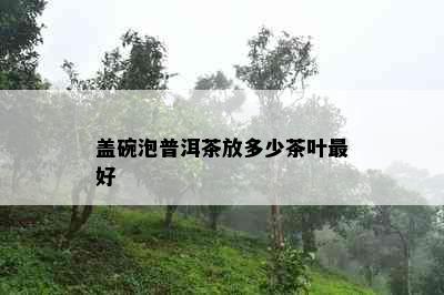 盖碗泡普洱茶放多少茶叶更好