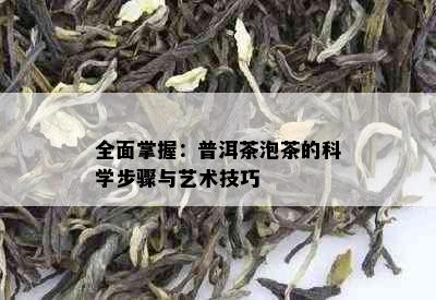 全面掌握：普洱茶泡茶的科学步骤与艺术技巧