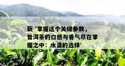 新 '掌握这个关键参数，普洱茶的口感与香气尽在掌握之中：水温的选择'