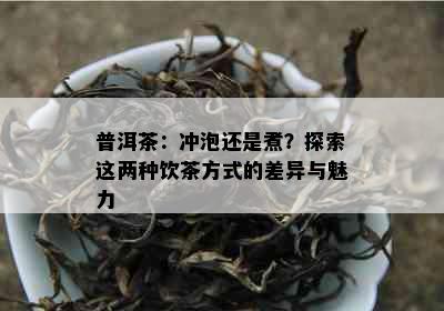 普洱茶：冲泡还是煮？探索这两种饮茶方式的差异与魅力