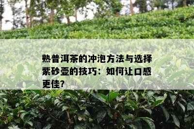 熟普洱茶的冲泡方法与选择紫砂壶的技巧：如何让口感更佳？