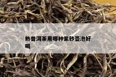 熟普洱茶用哪种紫砂壶泡好喝