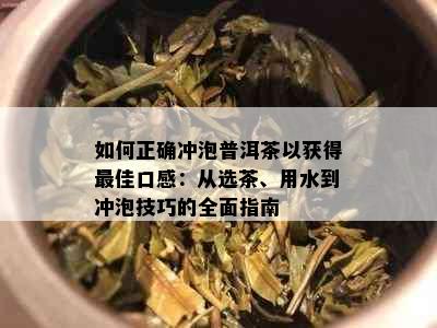 如何正确冲泡普洱茶以获得更佳口感：从选茶、用水到冲泡技巧的全面指南