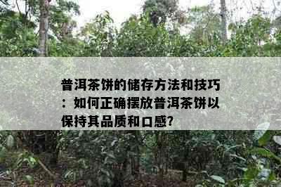 普洱茶饼的储存方法和技巧：如何正确摆放普洱茶饼以保持其品质和口感？