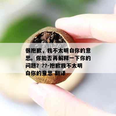 很抱歉，我不太明白你的意思。你能否再解释一下你的问题？??-抱歉我不太明白你的意思 翻译