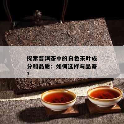 探索普洱茶中的白色茶叶成分和品质：如何选择与品鉴？