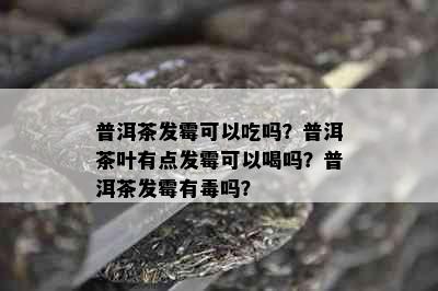 普洱茶发霉可以吃吗？普洱茶叶有点发霉可以喝吗？普洱茶发霉有吗？