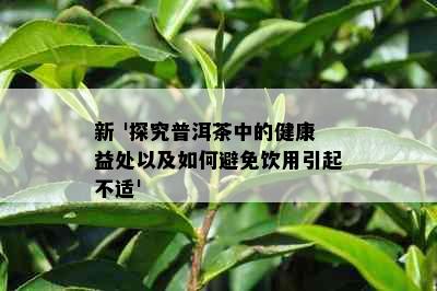 新 '探究普洱茶中的健康益处以及如何避免饮用引起不适'