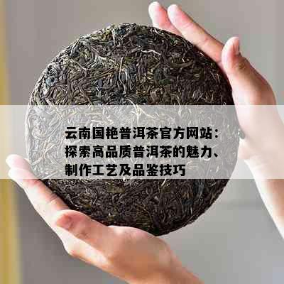 云南国艳普洱茶官方网站：探索高品质普洱茶的魅力、制作工艺及品鉴技巧