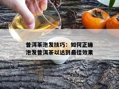 普洱茶泡发技巧：如何正确泡发普洱茶以达到更佳效果