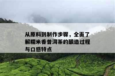 从原料到制作步骤，全面了解糯米香普洱茶的酿造过程与口感特点