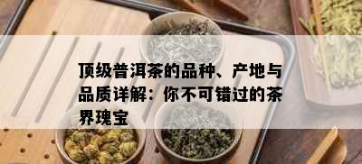 顶级普洱茶的品种、产地与品质详解：你不可错过的茶界瑰宝