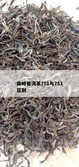 南峤普洱茶751与753区别