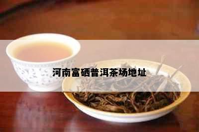 河南富硒普洱茶场地址