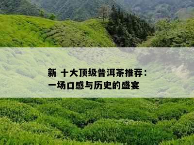 新 十大顶级普洱茶推荐：一场口感与历史的盛宴