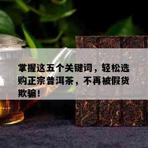 掌握这五个关键词，轻松选购正宗普洱茶，不再被假货欺骗！