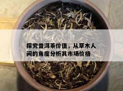 探究普洱茶价值，从草木人间的角度分析其市场价格