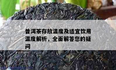 普洱茶存放温度及适宜饮用温度解析，全面解答您的疑问