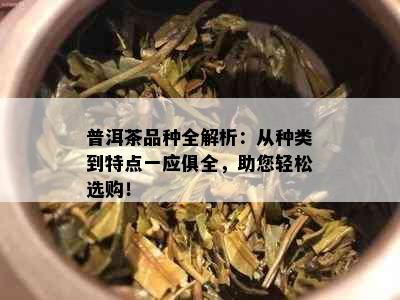 普洱茶品种全解析：从种类到特点一应俱全，助您轻松选购！