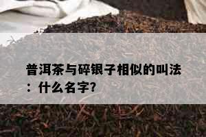 普洱茶与碎银子相似的叫法：什么名字？