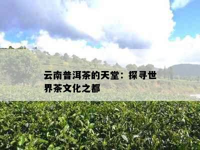 云南普洱茶的天堂：探寻世界茶文化之都