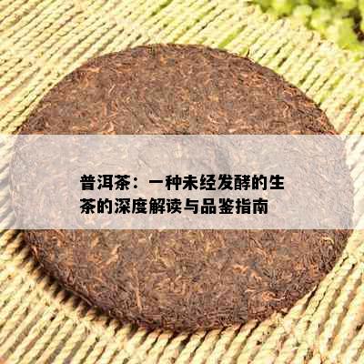 普洱茶：一种未经发酵的生茶的深度解读与品鉴指南