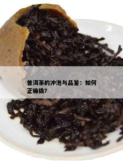 普洱茶的冲泡与品鉴：如何正确撬？