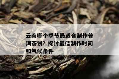 云南哪个季节最适合制作普洱茶饼？探讨更佳制作时间和气候条件