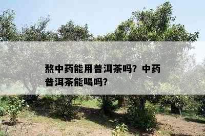 熬中能用普洱茶吗？中普洱茶能喝吗？