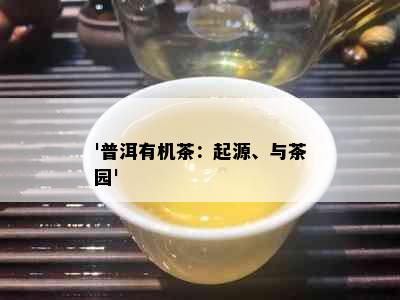 '普洱有机茶：起源、与茶园'