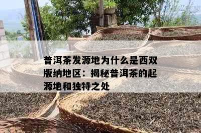 普洱茶发源地为什么是西双版纳地区：揭秘普洱茶的起源地和独特之处