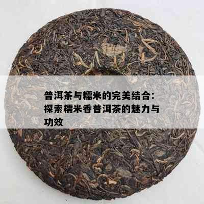 普洱茶与糯米的完美结合：探索糯米香普洱茶的魅力与功效