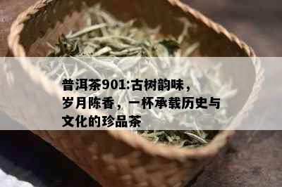 普洱茶901:古树韵味，岁月陈香，一杯承载历史与文化的珍品茶