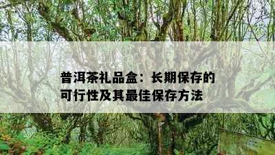 普洱茶礼品盒：长期保存的可行性及其更佳保存方法