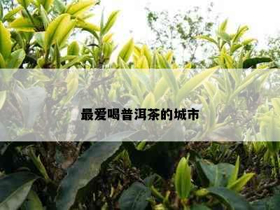 更爱喝普洱茶的城市