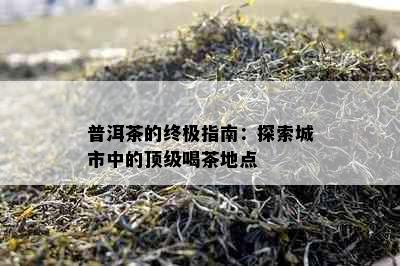 普洱茶的终极指南：探索城市中的顶级喝茶地点