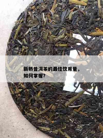 新熟普洱茶的更佳饮用量，如何掌握？