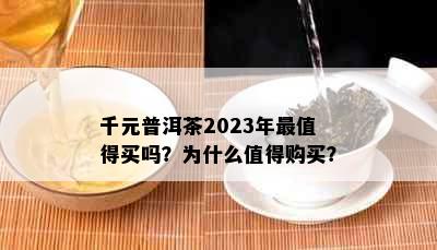 千元普洱茶2023年最值得买吗？为什么值得购买？