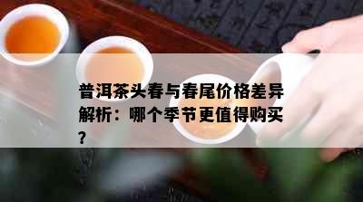 普洱茶头春与春尾价格差异解析：哪个季节更值得购买？