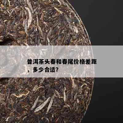 普洱茶头春和春尾价格差距，多少合适？