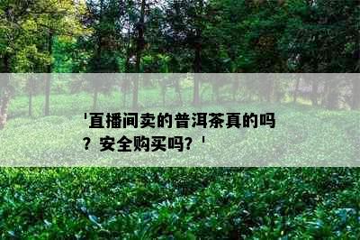 '直播间卖的普洱茶真的吗？安全购买吗？'