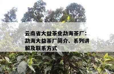 云南省大益茶业勐海茶厂：勐海大益茶厂简介、系列讲解及联系方式