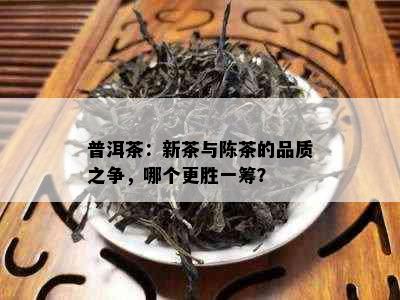 普洱茶：新茶与陈茶的品质之争，哪个更胜一筹？