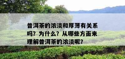 普洱茶的浓淡和厚薄有关系吗？为什么？从哪些方面来理解普洱茶的浓淡呢？