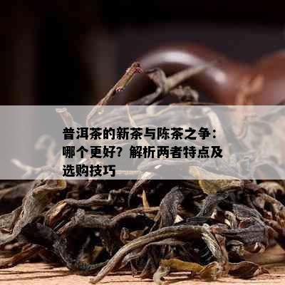 普洱茶的新茶与陈茶之争：哪个更好？解析两者特点及选购技巧